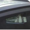 Kardzine Rear Spoiler for Renault Kwid (Painted Black or Silver)-car accessories-kardzine-Helmetdon