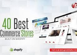 Shopify Basic Small Store Setup - Below 15 Products-Software-Zenmart-Helmetdon